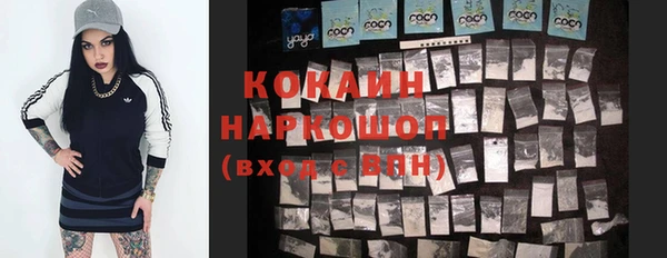 МДПВ Няндома