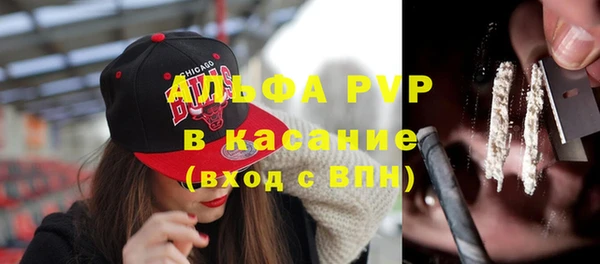 шишки Нязепетровск
