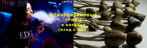 шишки Нязепетровск