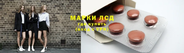 шишки Нязепетровск
