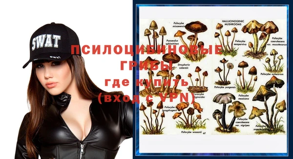шишки Нязепетровск