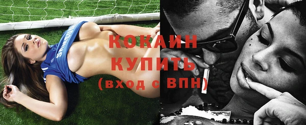 МДПВ Няндома