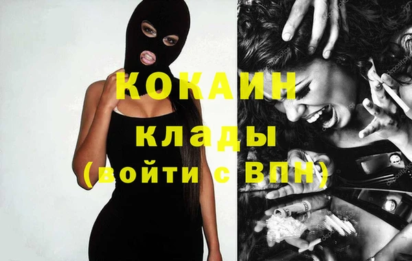 шишки Нязепетровск