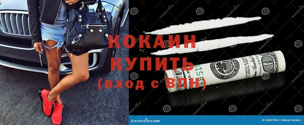 шишки Нязепетровск