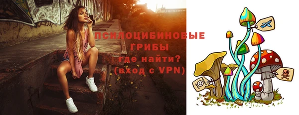 шишки Нязепетровск