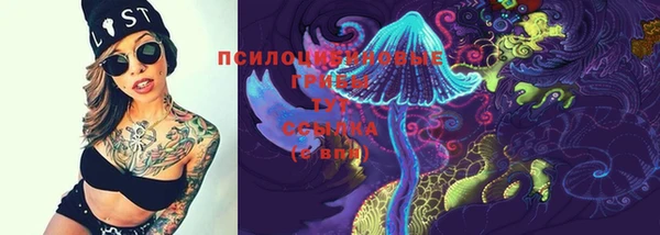 МДПВ Няндома