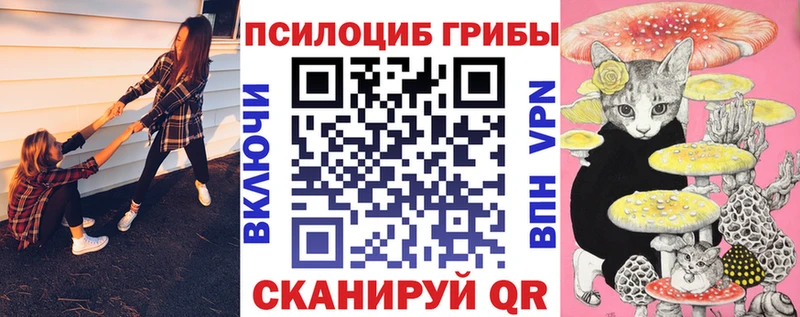 Псилоцибиновые грибы Psilocybe Советский